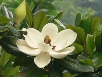 設(shè)備裝箱