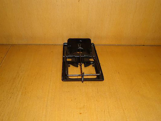  機(jī)電設(shè)備安裝